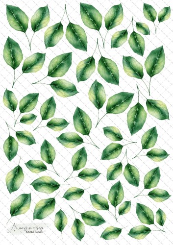 leaves 8 znak wodny.jpg
