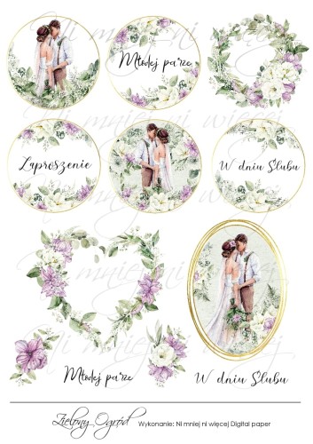 układ digi prezentacja00.jpg