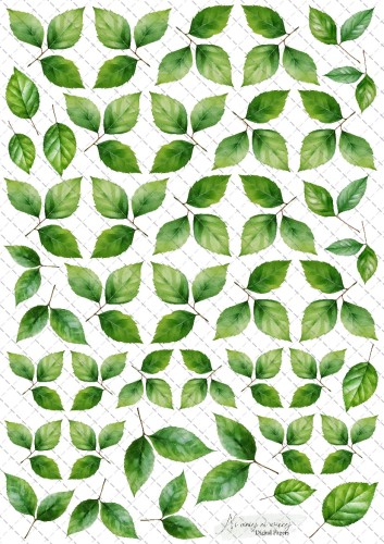 leaves 10 znak wodnmy.jpg