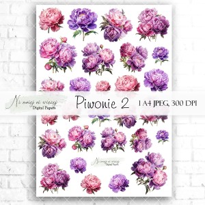 Arkusz grafik "Piwonie 2" do wydruku