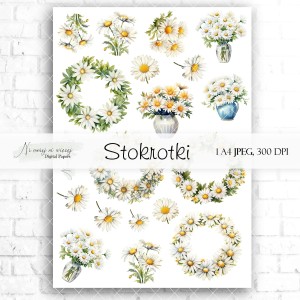 Arkusz grafik "Stokrotki" do wydruku