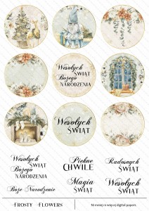 Frosty Flowers digi stemple