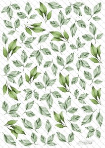 Arkusz do druku Liście 5