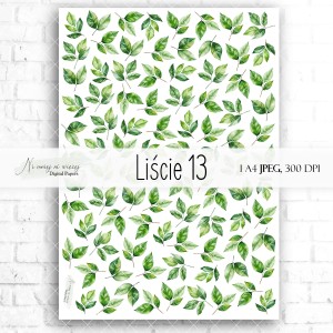 Arkusz grafik "Liście 13" do wydruku