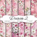 Daisies 2.jpg