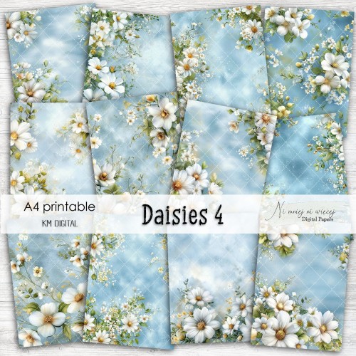 A4 Daisies 4.jpg