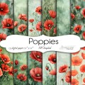 Poppy.jpg