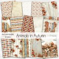 A4 Animals in Autumn.jpg