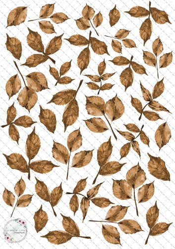 liście brąz 1 prezentacja.jpg