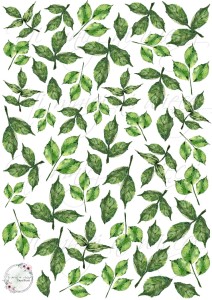 Arkusz do druku Liście 1