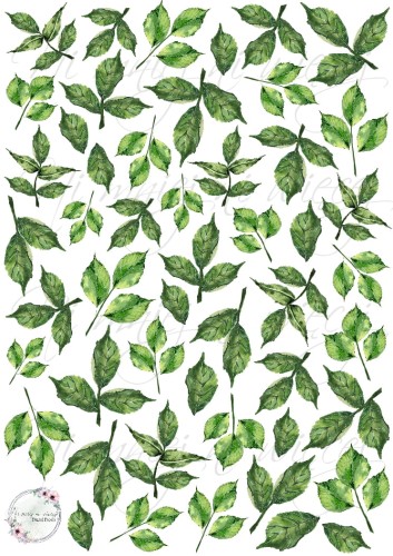 liście1 prezentacja.jpg