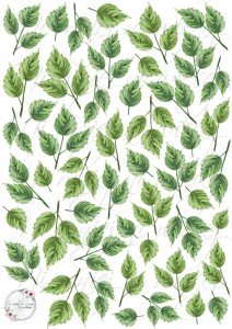 Arkusz do druku Liście 2